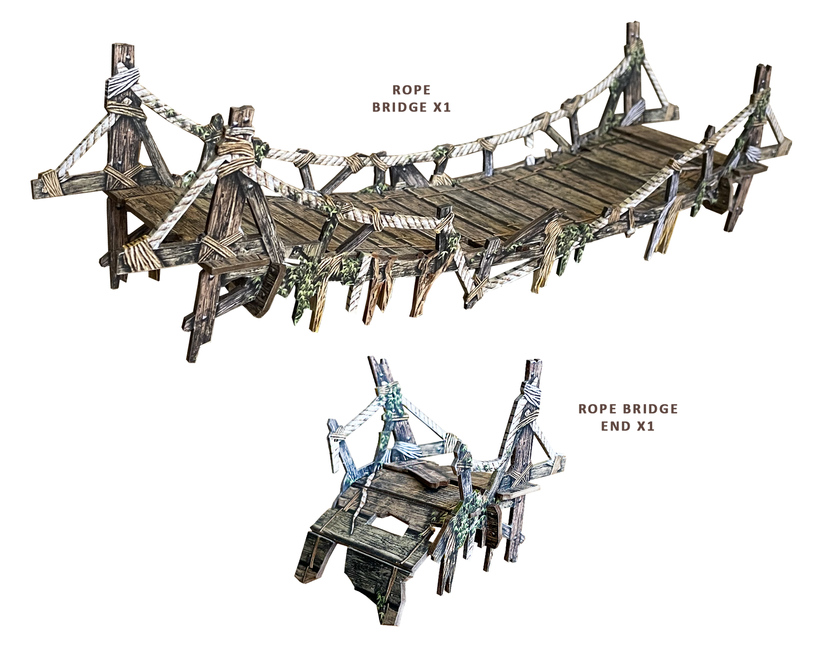 Dungeon Rope Bridge