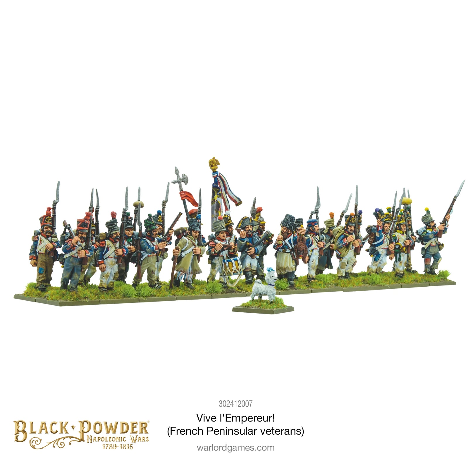 Vive l'Empereur! French Peninsular veterans